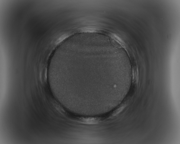 X0000082940301200703020133