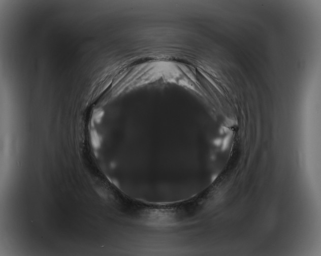 X0000082940303200703020133