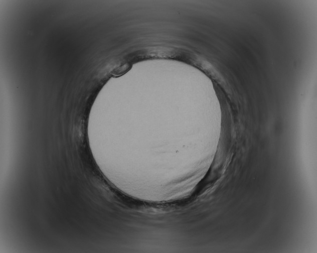 X0000082940305200703020133