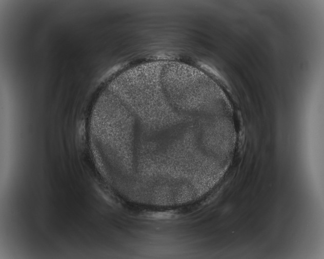 X0000082940306200703020133