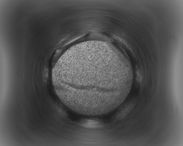 X0000082940308200703020133