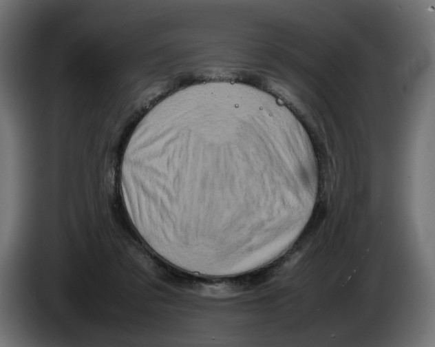 X0000082940309200703020133