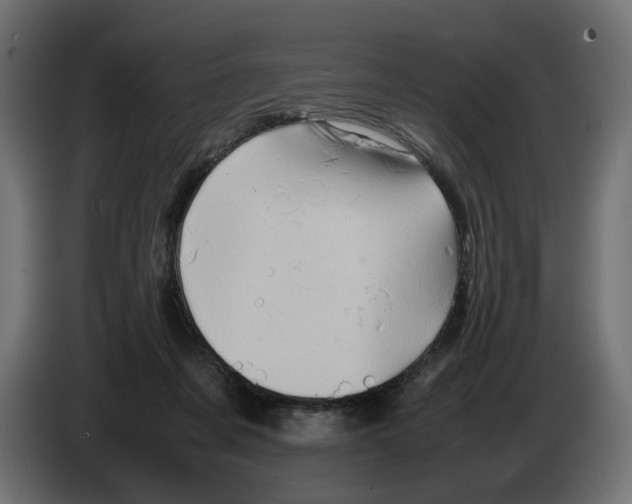 X0000082940311200703020133