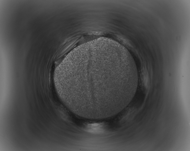 X0000082940312200703020133