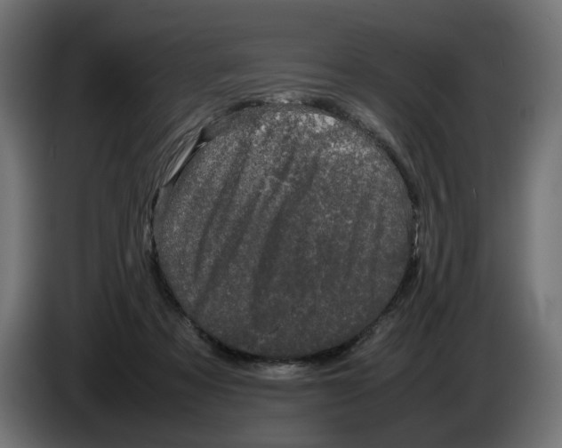 X0000082940313200703020133