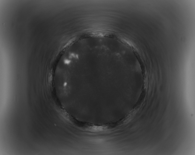 X0000082940314200703020133