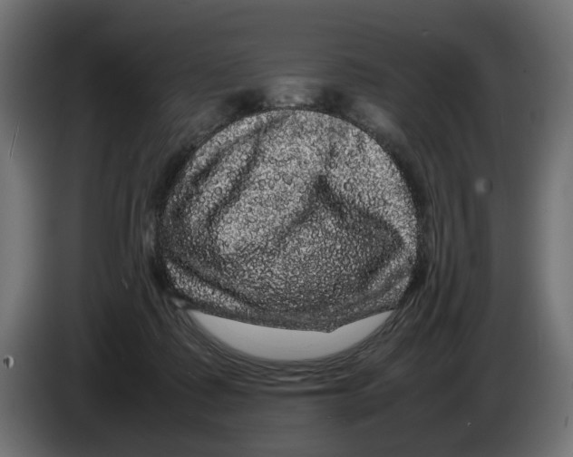 X0000082940315200703020133