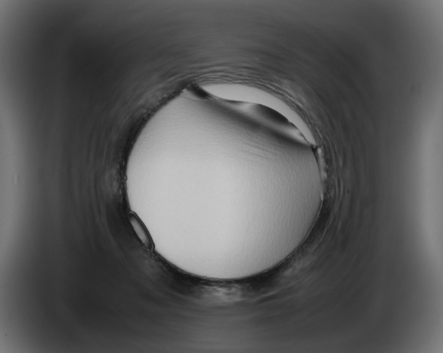 X0000082940317200703020133