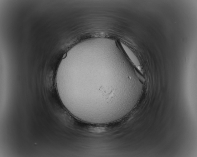 X0000082940318200703020133