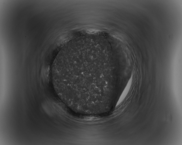 X0000082940319200703020133