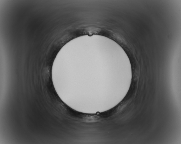 X0000082940321200703020133