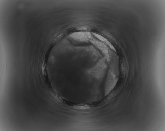 X0000082940322200703020133