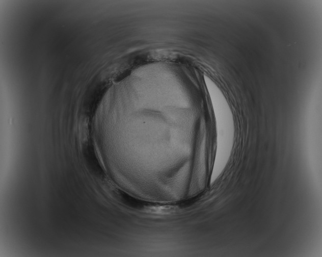 X0000082940323200703020133