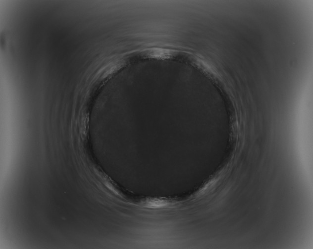 X0000082940325200703020133