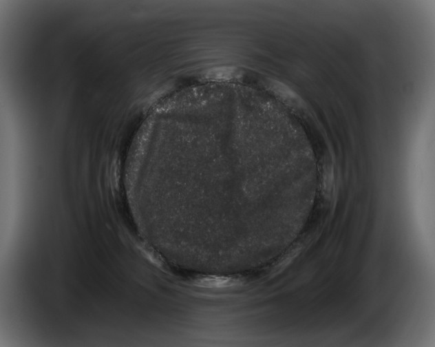 X0000082940326200703020133