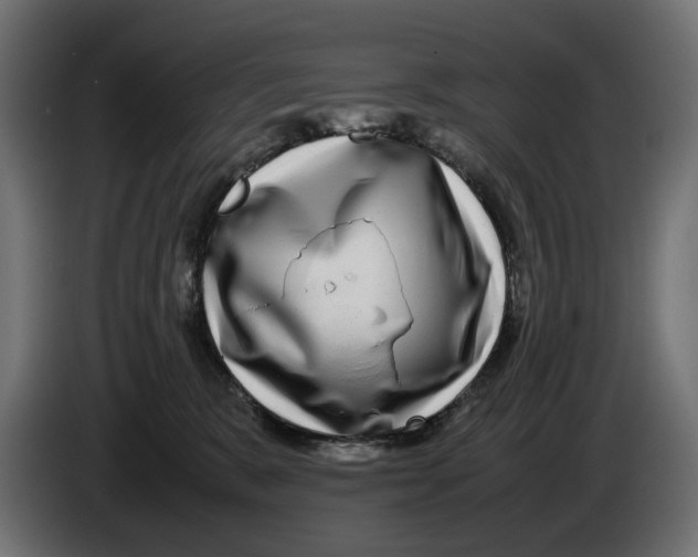 X0000082940327200703020133