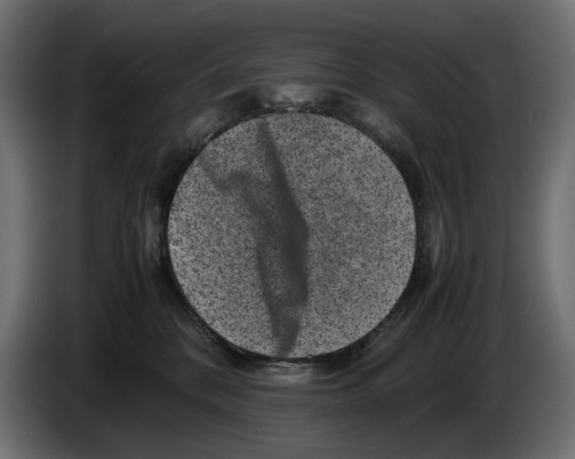 X0000082940328200703020133