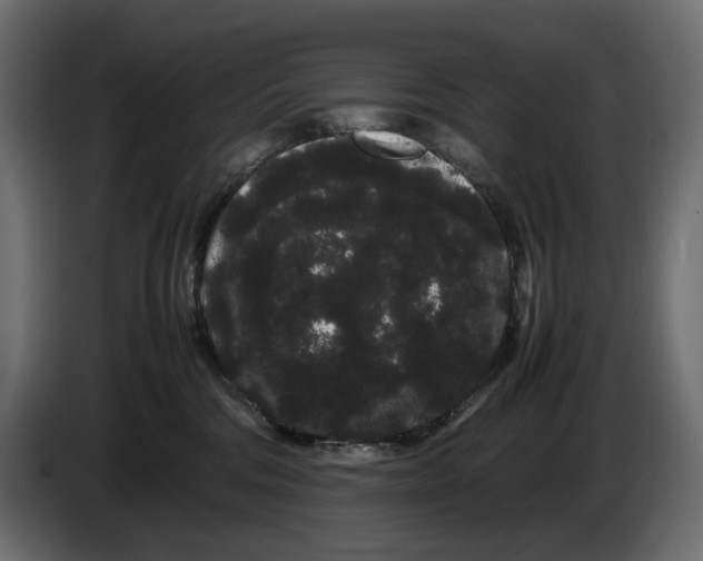 X0000082940330200703020133