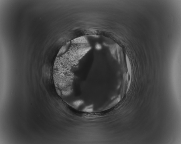 X0000082940331200703020133