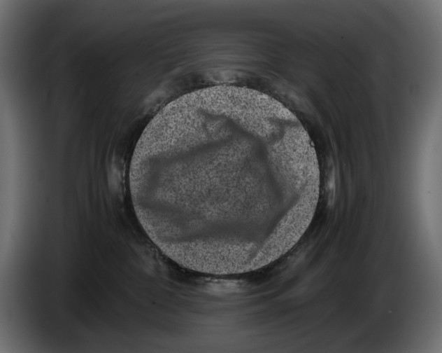 X0000082940332200703020133