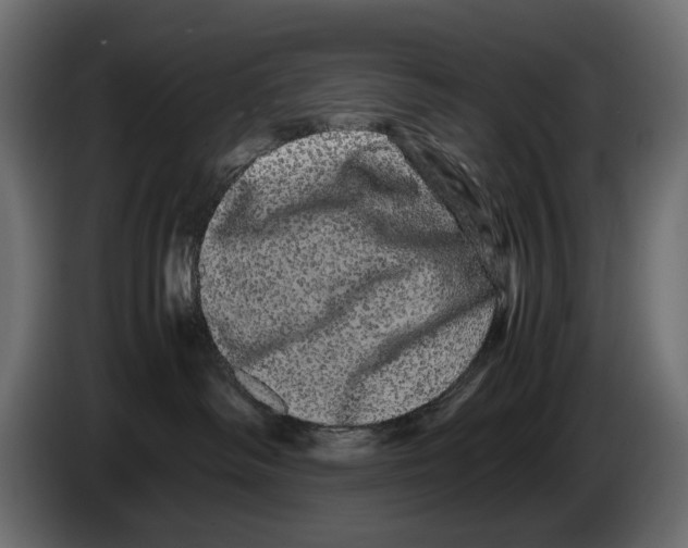 X0000082940334200703020133