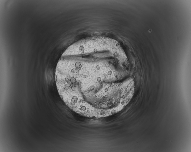 X0000082940335200703020133