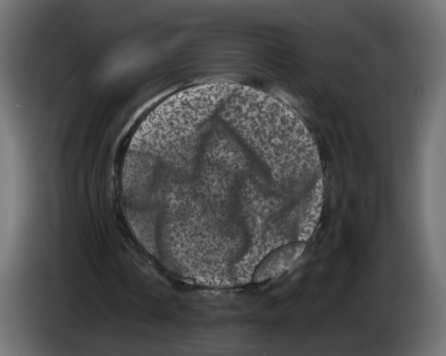 X0000082940338200703020132