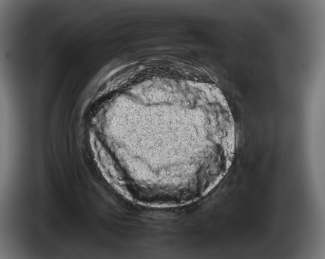 X0000082940339200703020132