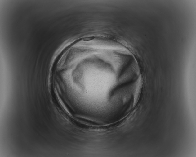 X0000082940340200703020132