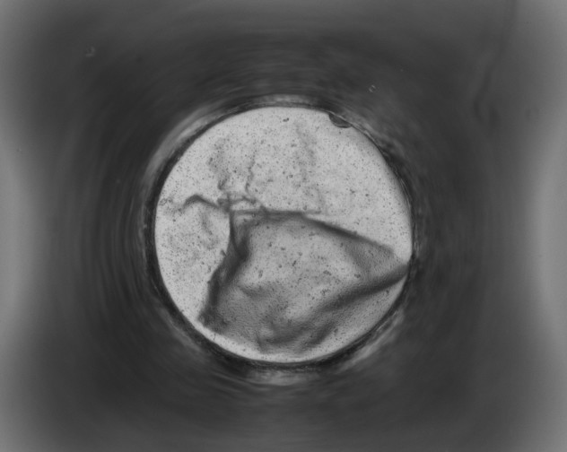 X0000082940341200703020132