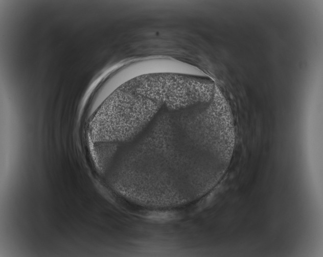 X0000082940342200703020132