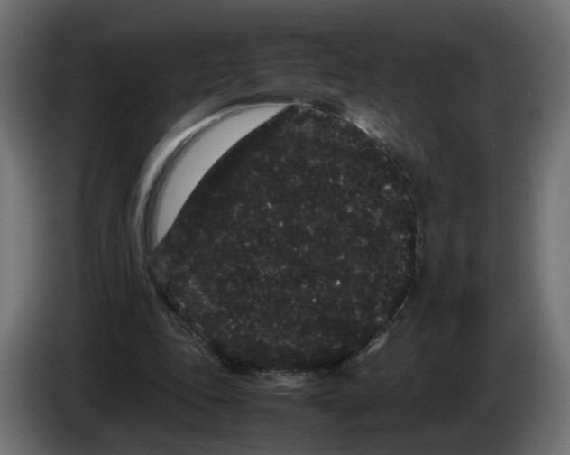 X0000082940343200703020132