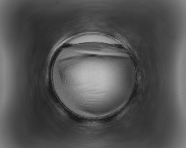 X0000082940344200703020132