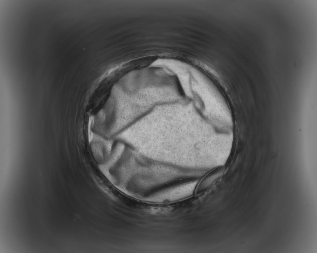 X0000082940345200703020132