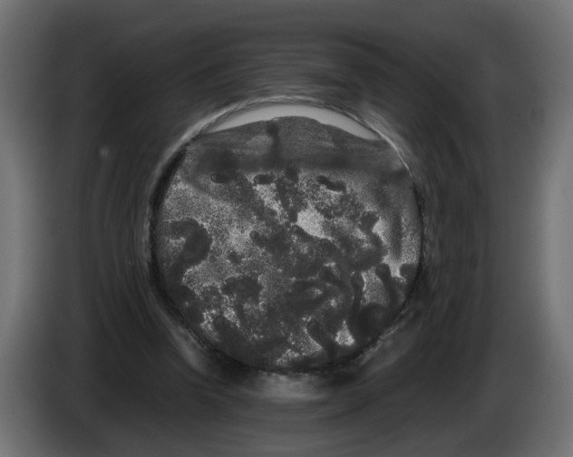 X0000082940346200703020132