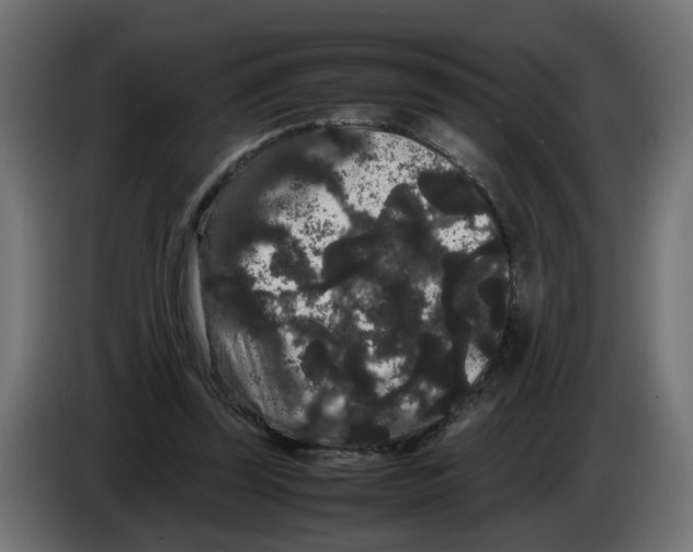 X0000082940347200703020132