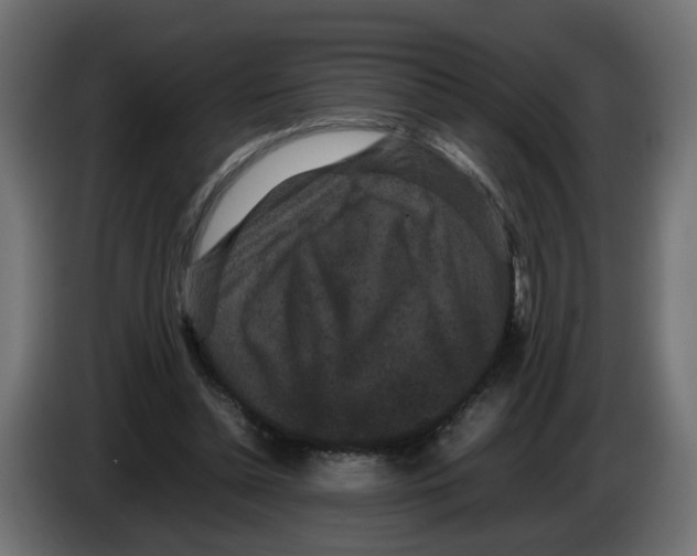 X0000082940348200703020132