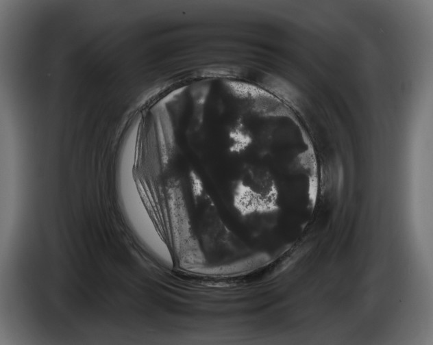 X0000082940349200703020132