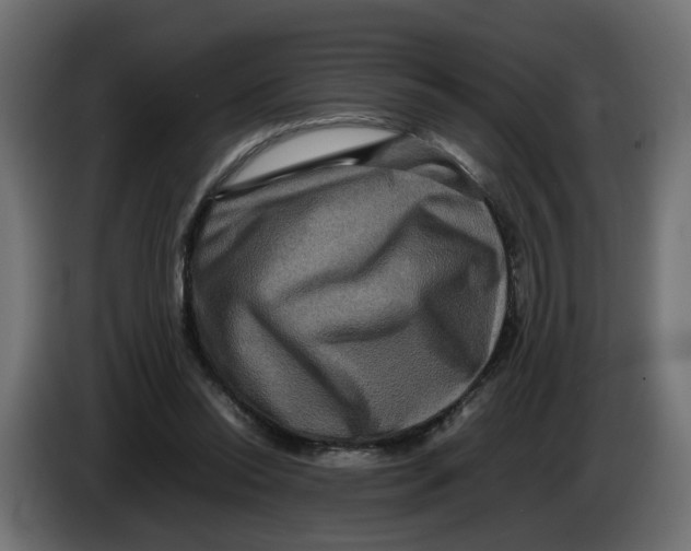 X0000082940350200703020132