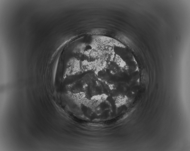 X0000082940351200703020132