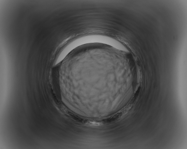 X0000082940352200703020132