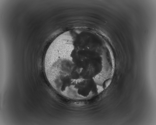 X0000082940353200703020132