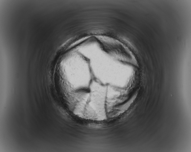 X0000082940354200703020132