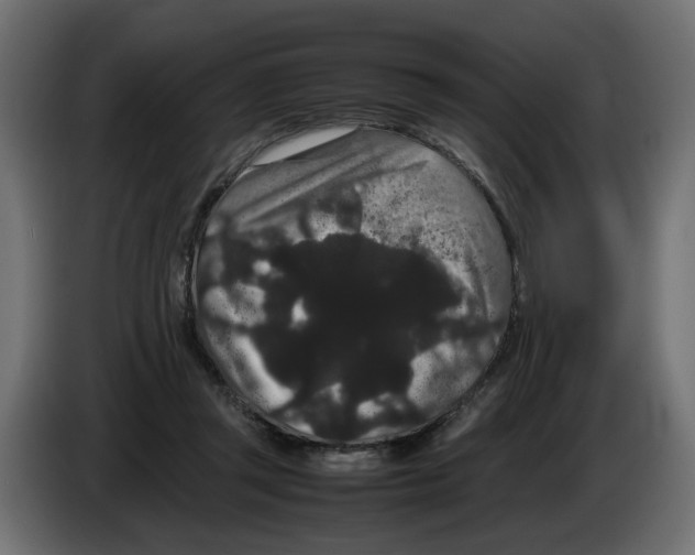 X0000082940357200703020132