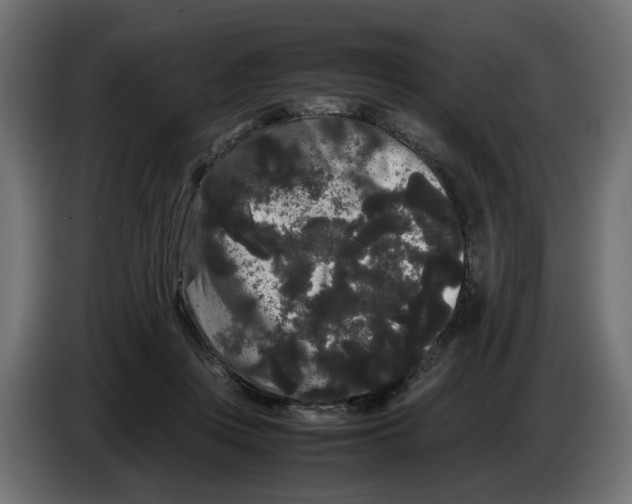 X0000082940359200703020132