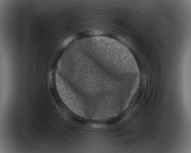 X0000082940360200703020132