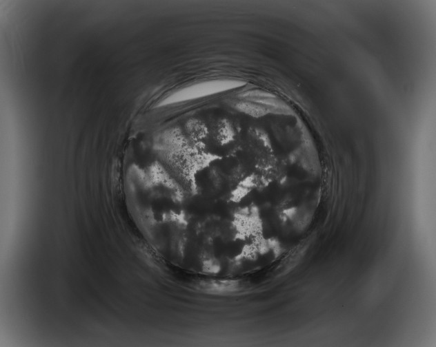 X0000082940361200703020132