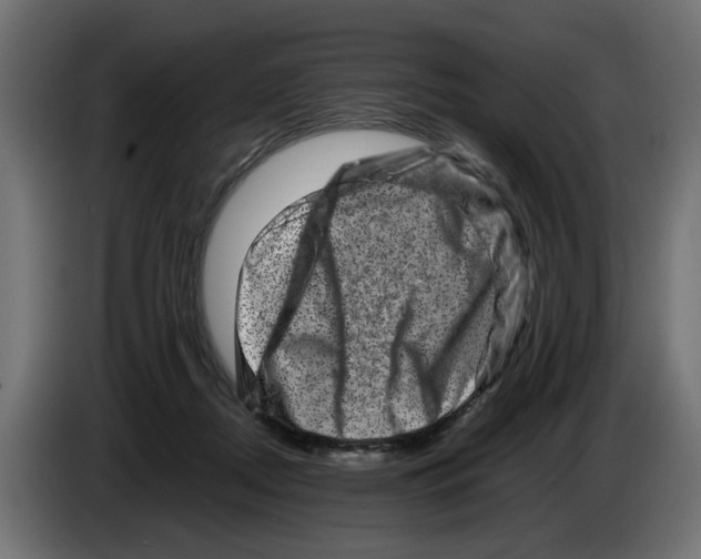 X0000082940362200703020132