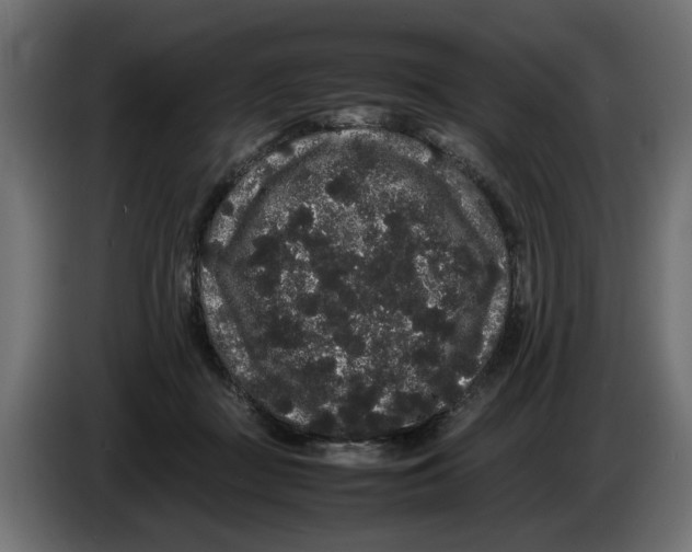 X0000082940363200703020132