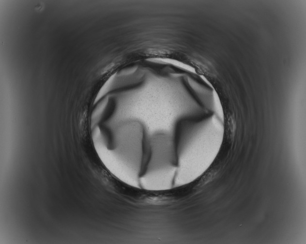 X0000082940364200703020132